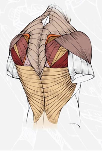 Why Runners Need Upper Back Strength